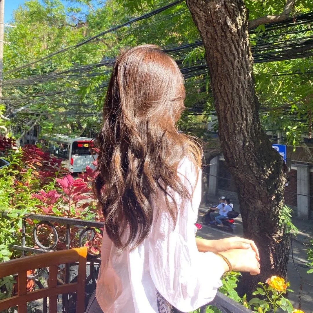 探寻完美的人类饮食海报
